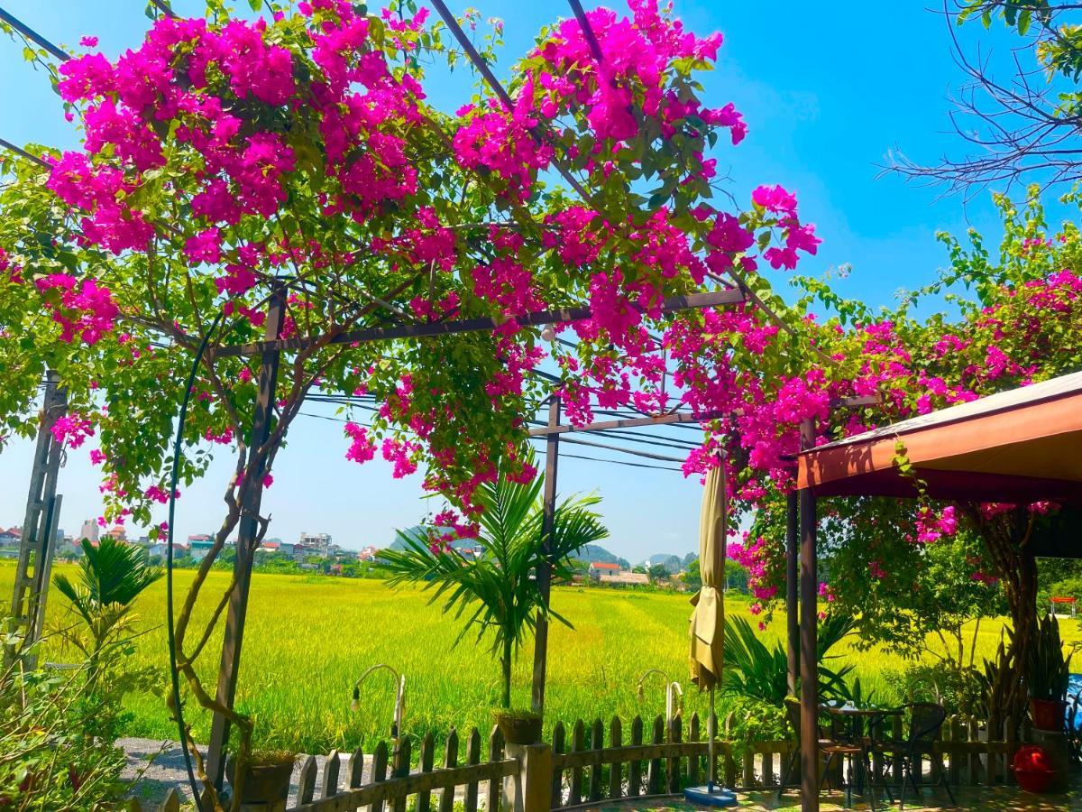 Tam Coc Eco Field Homes Ninh Binh Exterior photo