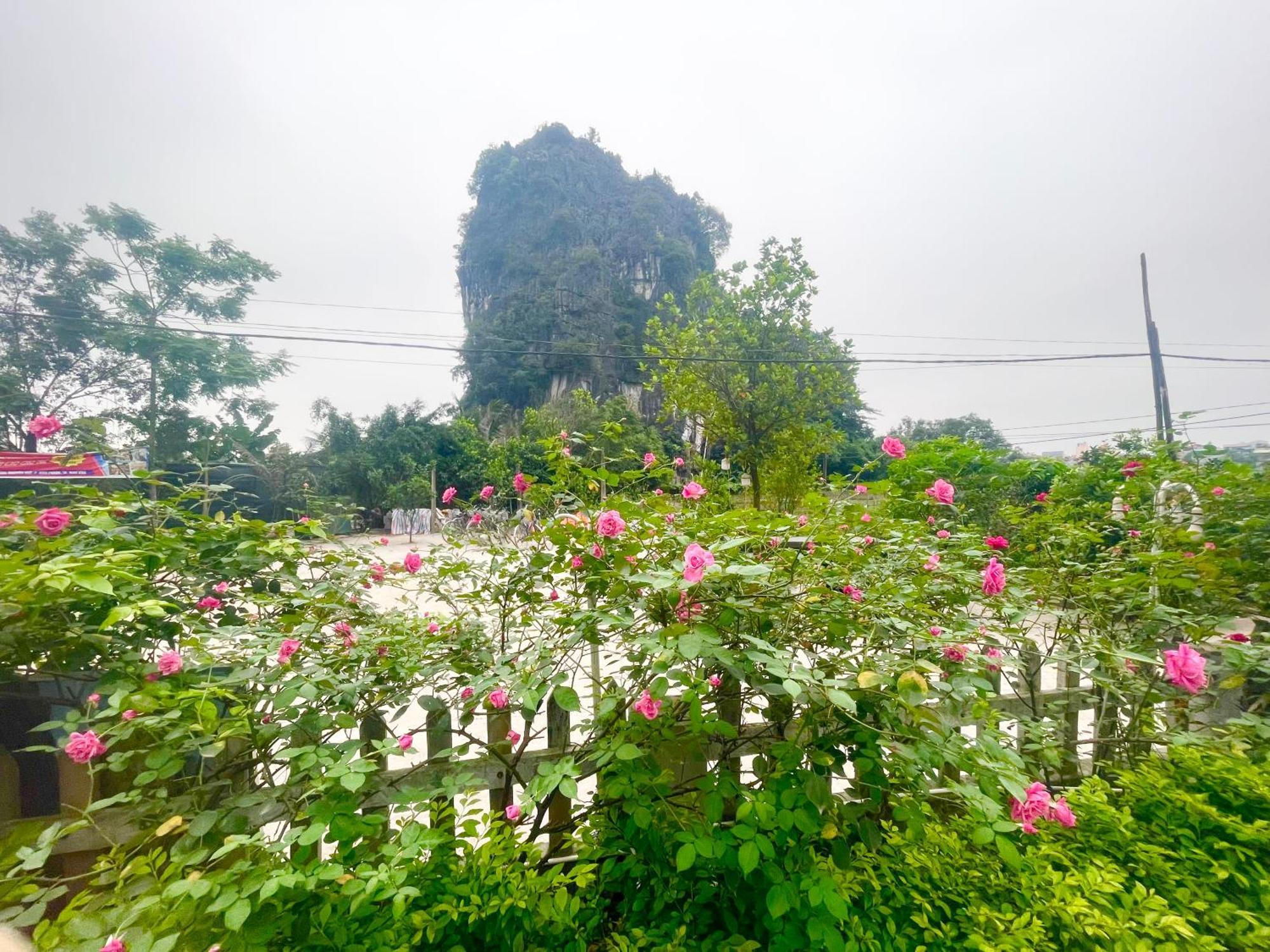 Tam Coc Eco Field Homes Ninh Binh Exterior photo